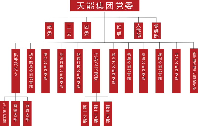 华体会hth建团党委组织架构